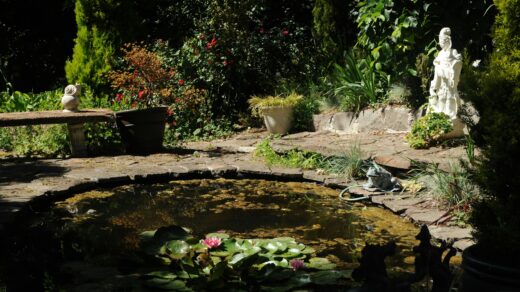 aménagement bassin de jardin